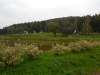 DSCN0179