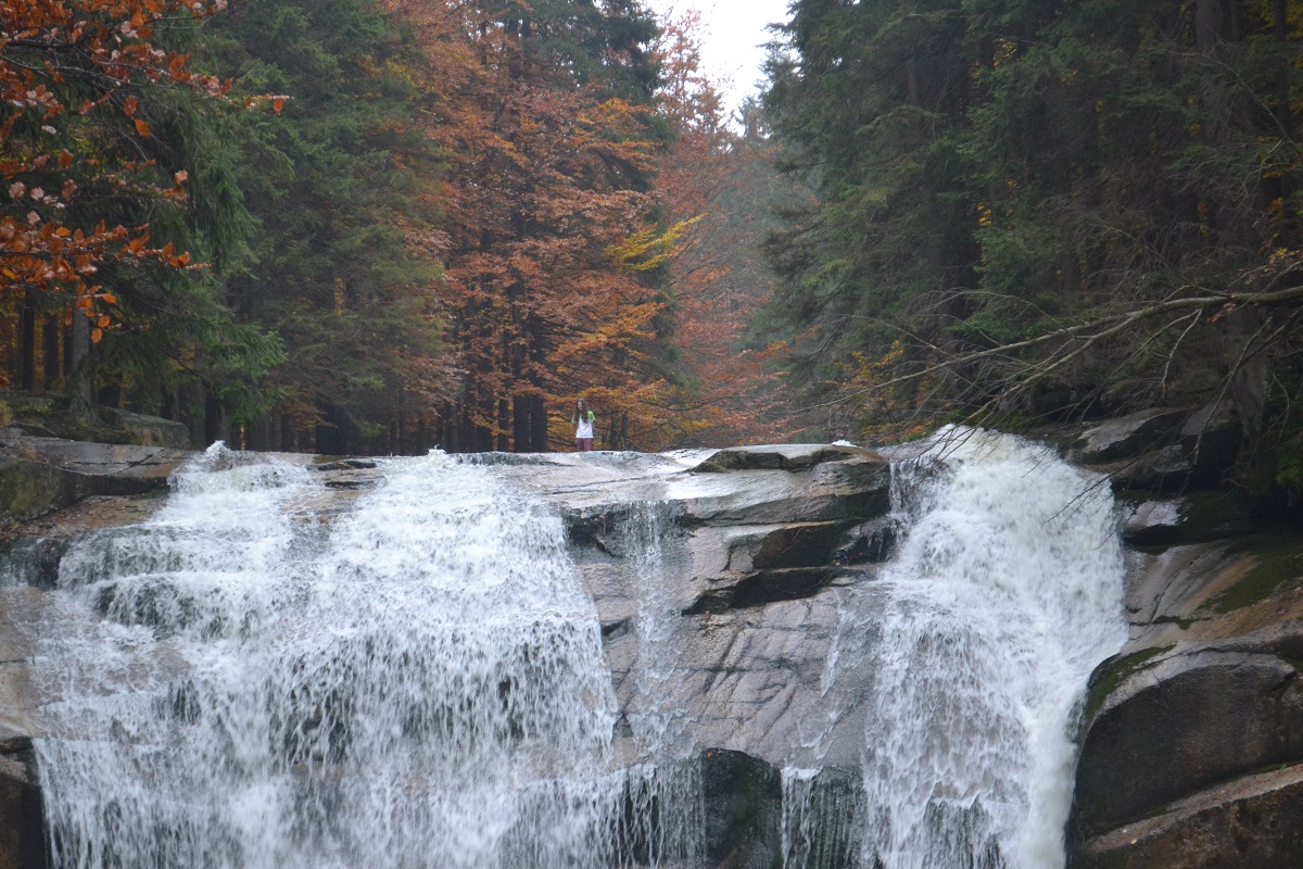 DSC_1147
