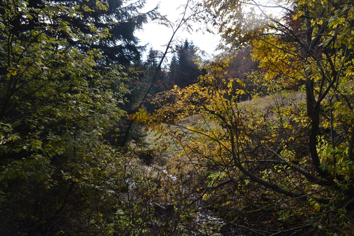 DSC_0032