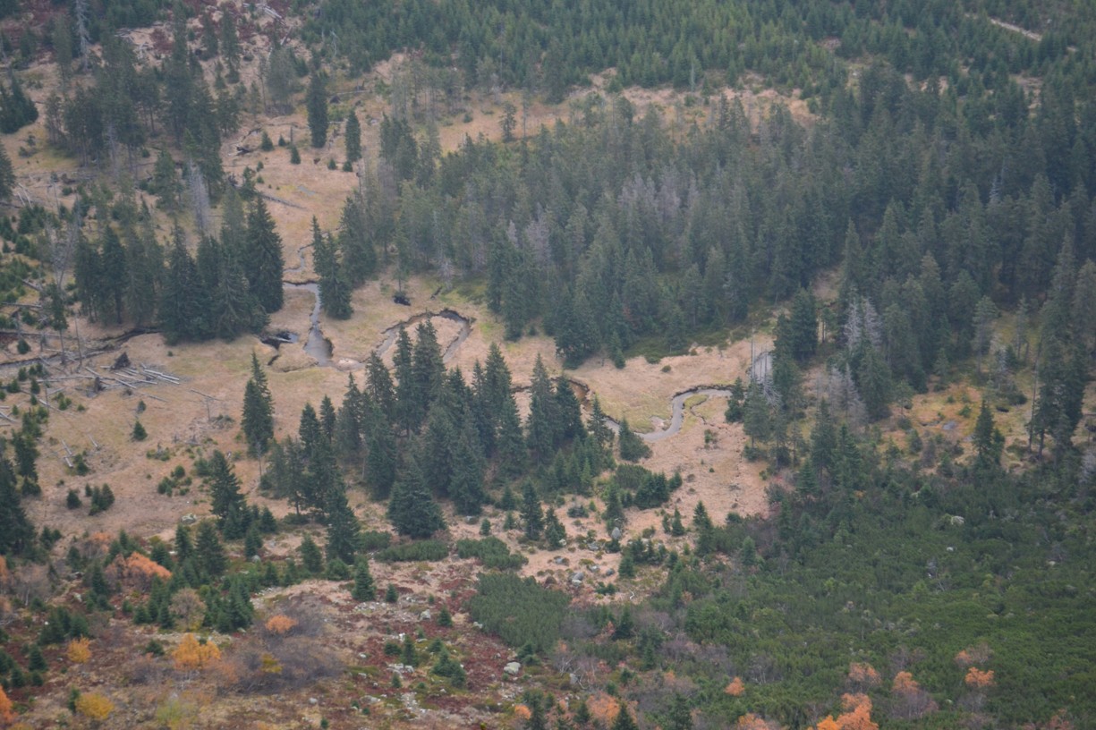 DSC_0095