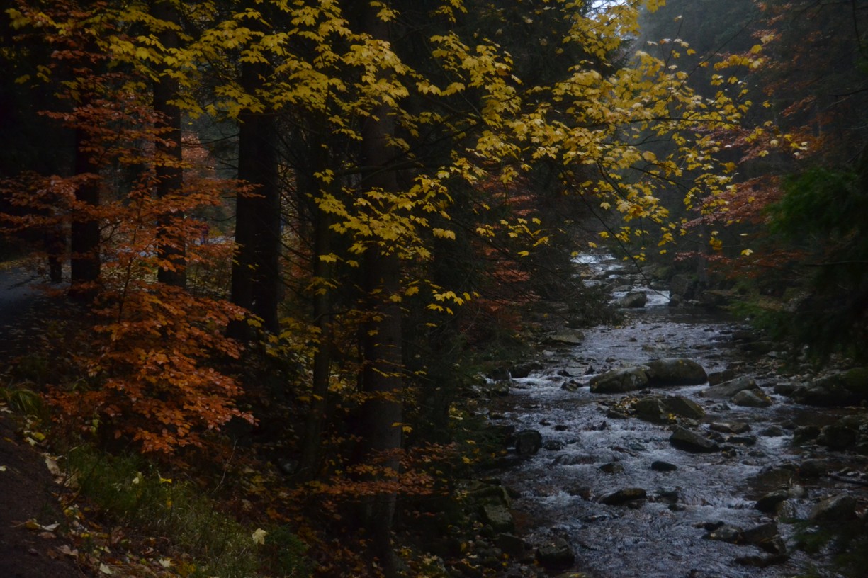 DSC_0270