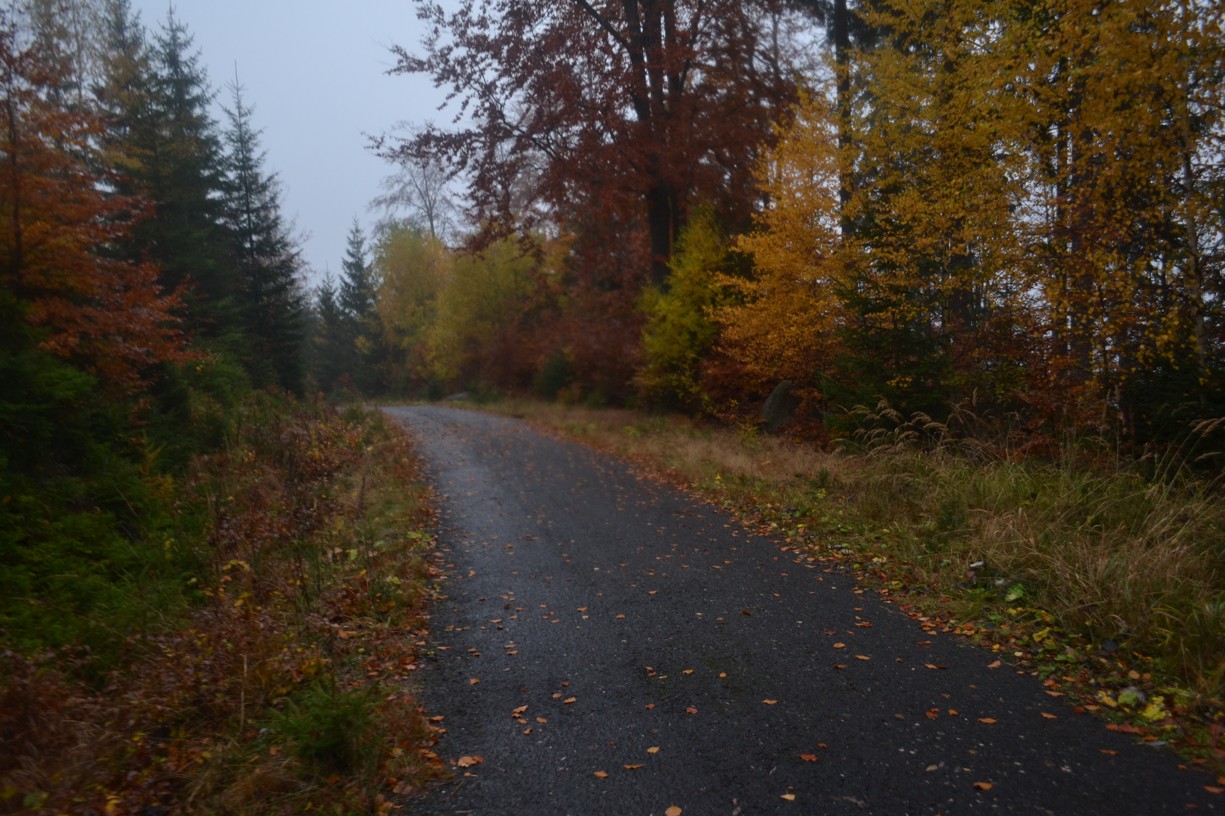 DSC_0280