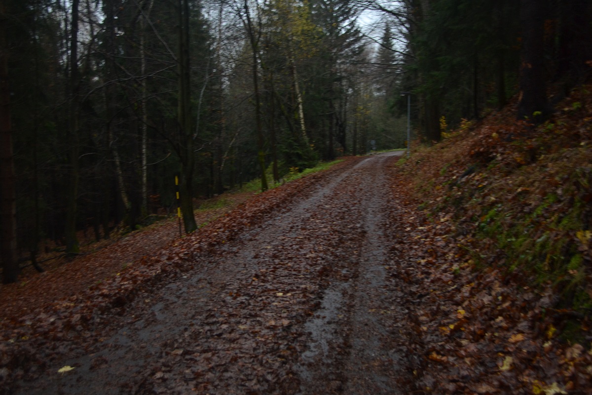 DSC_1197