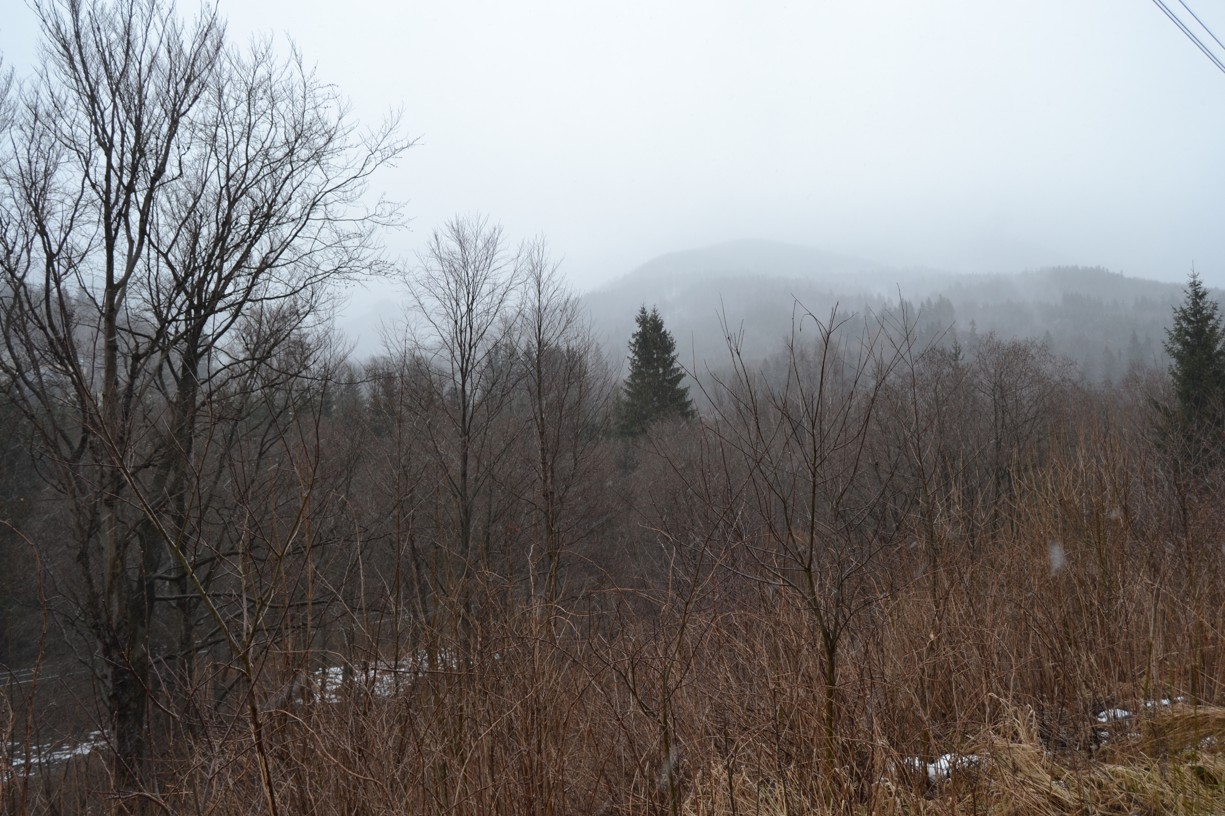 DSC_0247