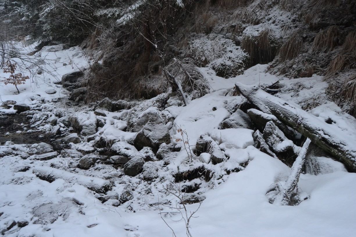 DSC_0290