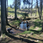 6ce7740d-8e59-4c97-a28b-8007dfb1f5a7